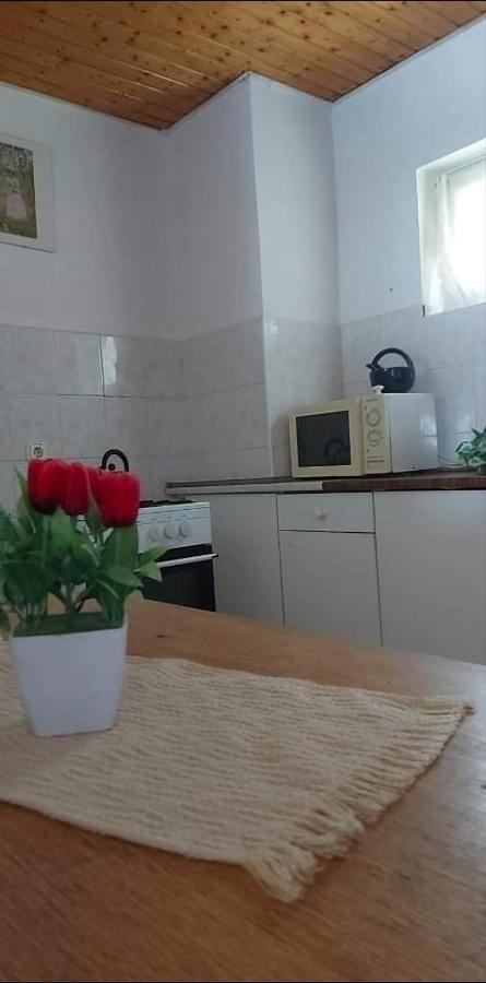 Kekturas-Tora Nyilo Badacsonyi Privat Berlemeny Daire Badacsonytomaj Dış mekan fotoğraf