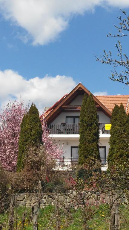 Kekturas-Tora Nyilo Badacsonyi Privat Berlemeny Daire Badacsonytomaj Dış mekan fotoğraf